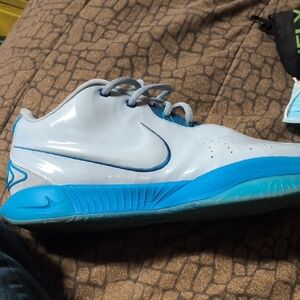 Nike White & Blue Low-Top Sneaker